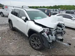 JTMD6RFV5RD141501 2024 TOYOTA RAV 4