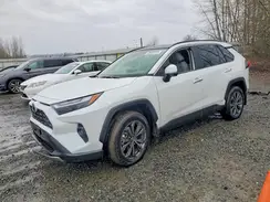 JTMD6RFV5RD552977 2024 TOYOTA RAV 4