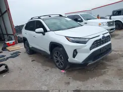 JTMD6RFV5RJ043523 2024 TOYOTA RAV 4