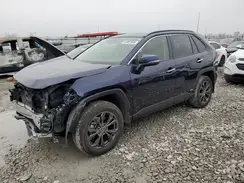 JTMD6RFV6PD115986 2023 TOYOTA RAV 4