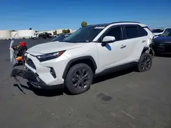 JTMD6RFV6PD542567 2023 TOYOTA RAV 4