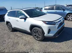 JTMD6RFV6PD547610 2023 TOYOTA RAV 4