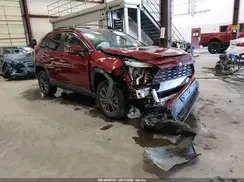 JTMD6RFV6RD118423 2024 TOYOTA RAV 4