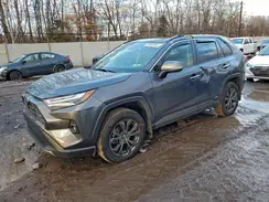 JTMD6RFV6RD136016 2024 TOYOTA RAV 4