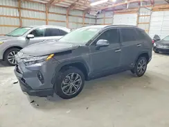 JTMD6RFV6RD148196 2024 TOYOTA RAV 4