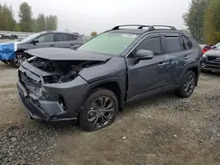 JTMD6RFV6RD149428 2024 TOYOTA RAV 4