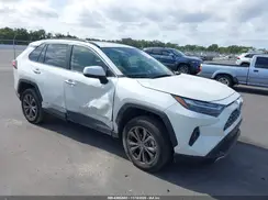 JTMD6RFV6RJ060685 2024 TOYOTA RAV 4