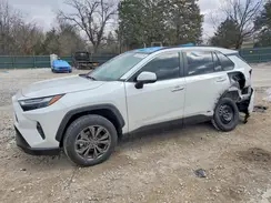 JTMD6RFV6RJ062162 2024 TOYOTA RAV 4