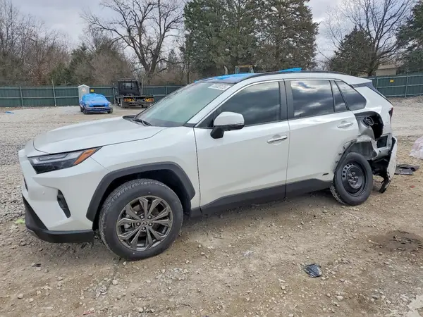 JTMD6RFV6RJ062162 2024 TOYOTA RAV 4 - Image 1