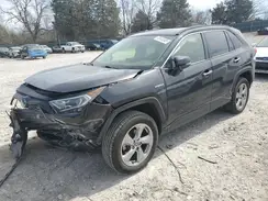 JTMD6RFV7MD040422 2021 TOYOTA RAV 4