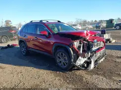 JTMD6RFV7PD084229 2023 TOYOTA RAV 4