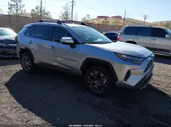 JTMD6RFV7PD100607 2023 TOYOTA RAV 4