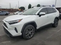 JTMD6RFV7PD102695 2023 TOYOTA RAV 4