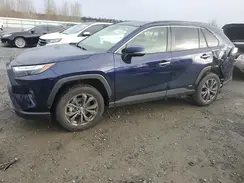 JTMD6RFV7PD103779 2023 TOYOTA RAV 4
