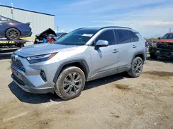 JTMD6RFV7PD110425 2023 TOYOTA RAV 4