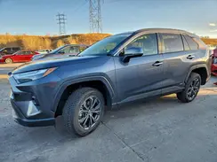 JTMD6RFV7PD115205 2023 TOYOTA RAV 4