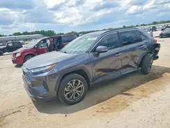 JTMD6RFV7RD136459 2024 TOYOTA RAV 4