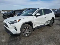 JTMD6RFV8PD096664 2023 TOYOTA RAV 4