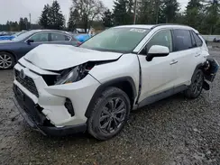 JTMD6RFV8PD541582 2023 TOYOTA RAV 4