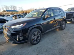 JTMD6RFV8RD146949 2024 TOYOTA RAV 4
