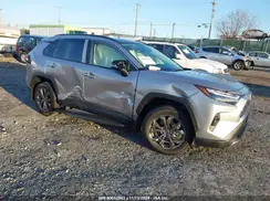 JTMD6RFV8RD566873 2024 TOYOTA RAV 4