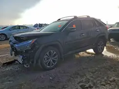 JTMD6RFV8SD160274 2025 TOYOTA RAV 4