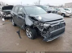 JTMD6RFV9LD501778 2020 TOYOTA RAV 4