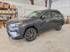 JTMD6RFV9ND521029 2022 TOYOTA RAV 4