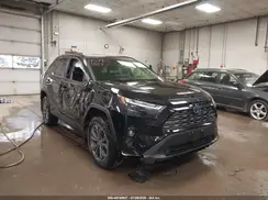 JTMD6RFV9PD080151 2023 TOYOTA RAV 4