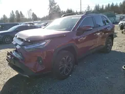 JTMD6RFV9PD080277 2023 TOYOTA RAV 4