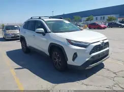 JTMD6RFV9PD095345 2023 TOYOTA RAV 4