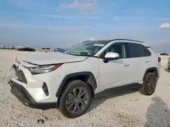 JTMD6RFV9PD110023 2023 TOYOTA RAV 4