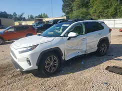 JTMD6RFV9PD541901 2023 TOYOTA RAV 4