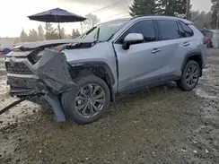 JTMD6RFV9RD118531 2024 TOYOTA RAV 4