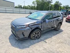 JTMD6RFV9RD129576 2024 TOYOTA RAV 4