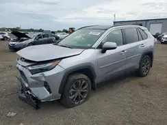JTMD6RFV9RD142943 2024 TOYOTA RAV 4