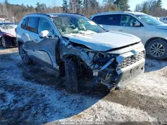 JTMD6RFV9RJ043668 2024 TOYOTA RAV 4
