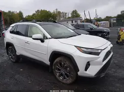 JTMD6RFV9RJ057165 2024 TOYOTA RAV 4