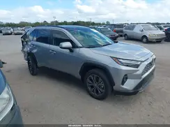 JTMD6RFV9SD166116 2025 TOYOTA RAV 4