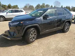 JTMD6RFV9SJ064865 2025 TOYOTA RAV 4