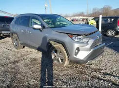 JTMD6RFVXLD501532 2020 TOYOTA RAV 4