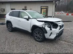 JTMD6RFVXPD093233 2023 TOYOTA RAV 4
