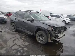 JTMD6RFVXPD095239 2023 TOYOTA RAV 4