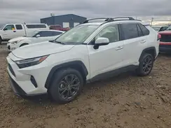 JTMD6RFVXPJ030490 2023 TOYOTA RAV 4