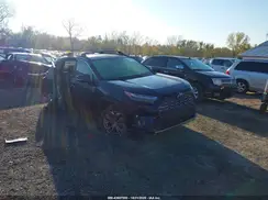 JTMD6RFVXRD120806 2024 TOYOTA RAV 4