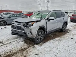 JTMD6RFVXRD123365 2024 TOYOTA RAV 4