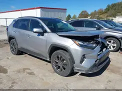 JTMD6RFVXRD123608 2024 TOYOTA RAV 4