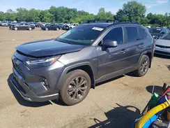 JTMD6RFVXRD125293 2024 TOYOTA RAV 4