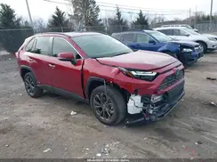 JTMD6RFVXRD128775 2024 TOYOTA RAV 4