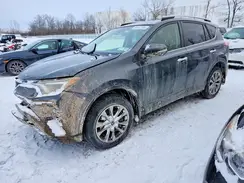 JTMDFREV1HJ709776 2017 TOYOTA RAV 4